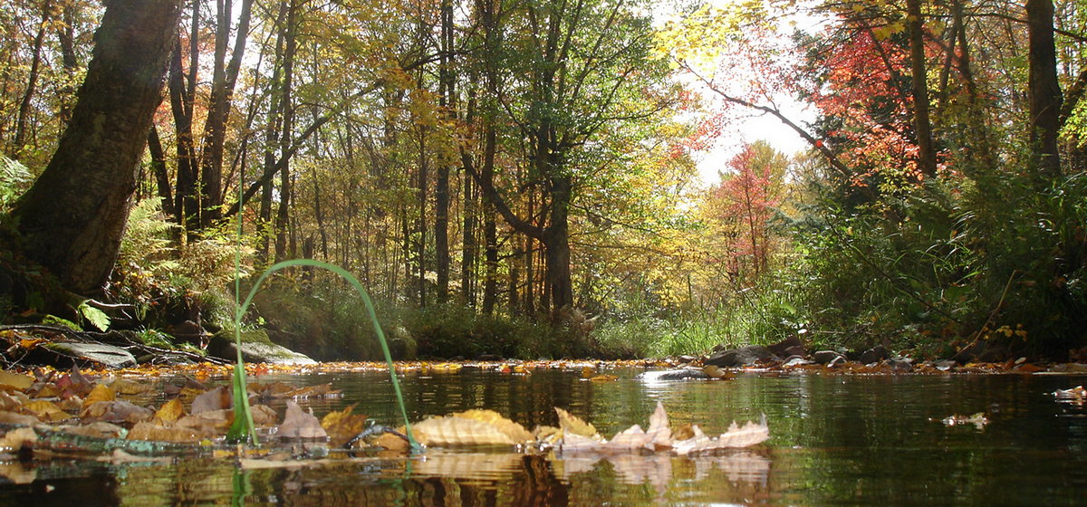 Beautiful Rivers and Lakes Near By